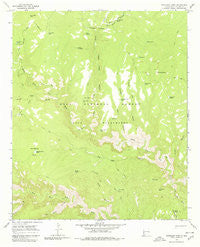 Woodland Park New Mexico Historical topographic map, 1:24000 scale, 7.5 X 7.5 Minute, Year 1965