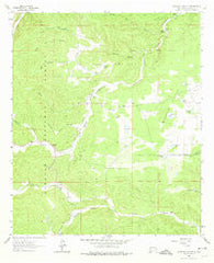 Woodson Canyon New Mexico Historical topographic map, 1:24000 scale, 7.5 X 7.5 Minute, Year 1963