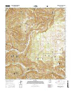 Woodson Canyon New Mexico Current topographic map, 1:24000 scale, 7.5 X 7.5 Minute, Year 2017