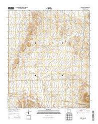 Wrye Peak New Mexico Historical topographic map, 1:24000 scale, 7.5 X 7.5 Minute, Year 2013