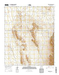 Wrye Peak SW New Mexico Historical topographic map, 1:24000 scale, 7.5 X 7.5 Minute, Year 2013
