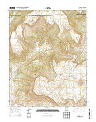 Yankee New Mexico Historical topographic map, 1:24000 scale, 7.5 X 7.5 Minute, Year 2013