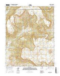 Yankee New Mexico Current topographic map, 1:24000 scale, 7.5 X 7.5 Minute, Year 2017