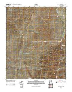 York Ranch SE New Mexico Historical topographic map, 1:24000 scale, 7.5 X 7.5 Minute, Year 2010