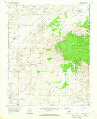 Youngs Lake New Mexico Historical topographic map, 1:24000 scale, 7.5 X 7.5 Minute, Year 1963