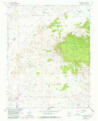 Youngs Lake New Mexico Historical topographic map, 1:24000 scale, 7.5 X 7.5 Minute, Year 1963