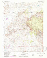 Youngs Lake New Mexico Historical topographic map, 1:24000 scale, 7.5 X 7.5 Minute, Year 1963