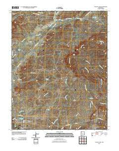 Youngs Lake New Mexico Historical topographic map, 1:24000 scale, 7.5 X 7.5 Minute, Year 2010