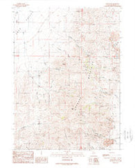 Adam Peak Nevada Historical topographic map, 1:24000 scale, 7.5 X 7.5 Minute, Year 1988