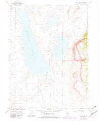 Alkali Lake Nevada Historical topographic map, 1:24000 scale, 7.5 X 7.5 Minute, Year 1966