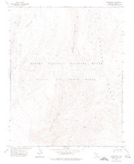 Aysees Peak Nevada Historical topographic map, 1:24000 scale, 7.5 X 7.5 Minute, Year 1973