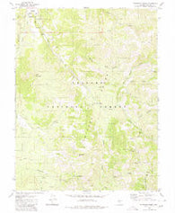 Bakeoven Creek Nevada Historical topographic map, 1:24000 scale, 7.5 X 7.5 Minute, Year 1980
