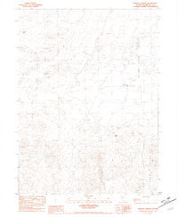 Barrett Springs Nevada Historical topographic map, 1:24000 scale, 7.5 X 7.5 Minute, Year 1981