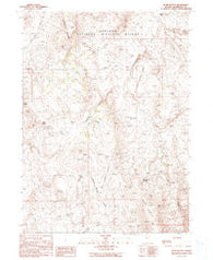 Bear Buttes Nevada Historical topographic map, 1:24000 scale, 7.5 X 7.5 Minute, Year 1990