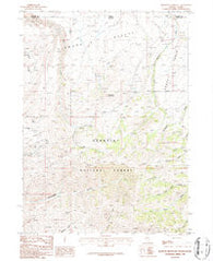 Bearpaw Mountain Nevada Historical topographic map, 1:24000 scale, 7.5 X 7.5 Minute, Year 1986