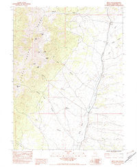 Becky Peak Nevada Historical topographic map, 1:24000 scale, 7.5 X 7.5 Minute, Year 1982