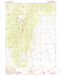 Bellevue Peak Nevada Historical topographic map, 1:24000 scale, 7.5 X 7.5 Minute, Year 1990