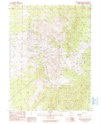 Big Bald Mountain Nevada Historical topographic map, 1:24000 scale, 7.5 X 7.5 Minute, Year 1990