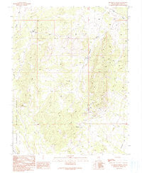 Blackjack Springs Nevada Historical topographic map, 1:24000 scale, 7.5 X 7.5 Minute, Year 1990