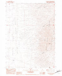 Bloody Run Peak Nevada Historical topographic map, 1:24000 scale, 7.5 X 7.5 Minute, Year 1982