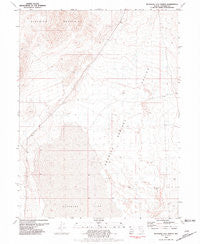 Bluewing Flat North Nevada Historical topographic map, 1:24000 scale, 7.5 X 7.5 Minute, Year 1981