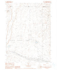 Bog Hot Springs Nevada Historical topographic map, 1:24000 scale, 7.5 X 7.5 Minute, Year 1990