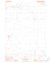 Bottle Creek Slough NW Nevada Historical topographic map, 1:24000 scale, 7.5 X 7.5 Minute, Year 1982