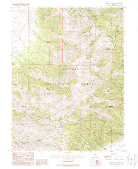 Brewer Canyon Nevada Historical topographic map, 1:24000 scale, 7.5 X 7.5 Minute, Year 1988