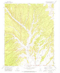 Buck Wash Well Nevada Historical topographic map, 1:24000 scale, 7.5 X 7.5 Minute, Year 1972