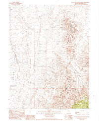 Buena Vista Hills South Nevada Historical topographic map, 1:24000 scale, 7.5 X 7.5 Minute, Year 1990