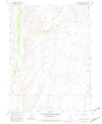 Buena Vista Ranch Nevada Historical topographic map, 1:24000 scale, 7.5 X 7.5 Minute, Year 1967