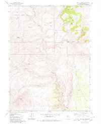 Buffalo Creek Nevada Historical topographic map, 1:24000 scale, 7.5 X 7.5 Minute, Year 1980