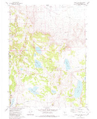 Burnt Lake Nevada Historical topographic map, 1:24000 scale, 7.5 X 7.5 Minute, Year 1980