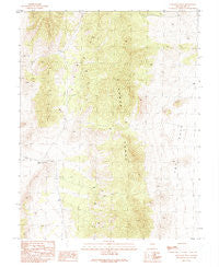 Callaway Well Nevada Historical topographic map, 1:24000 scale, 7.5 X 7.5 Minute, Year 1990