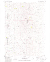 Capitol Peak Nevada Historical topographic map, 1:24000 scale, 7.5 X 7.5 Minute, Year 1980