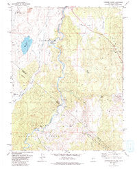 Carters Station Nevada Historical topographic map, 1:24000 scale, 7.5 X 7.5 Minute, Year 1979
