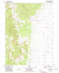 Cave Mountain Nevada Historical topographic map, 1:24000 scale, 7.5 X 7.5 Minute, Year 1981