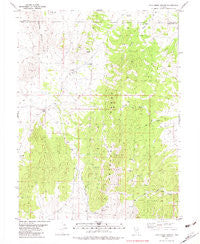 Chin Creek Spring Nevada Historical topographic map, 1:24000 scale, 7.5 X 7.5 Minute, Year 1982