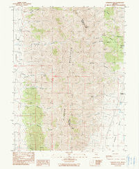 Christina Peak Nevada Historical topographic map, 1:24000 scale, 7.5 X 7.5 Minute, Year 1990