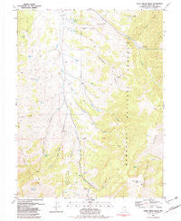 Cleve Creek Baldy Nevada Historical topographic map, 1:24000 scale, 7.5 X 7.5 Minute, Year 1981
