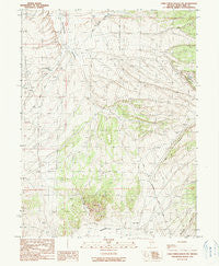 Cold Creek Ranch NW Nevada Historical topographic map, 1:24000 scale, 7.5 X 7.5 Minute, Year 1990
