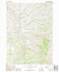 Coon Creek Nevada Historical topographic map, 1:24000 scale, 7.5 X 7.5 Minute, Year 1986