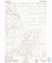 Cordero Mine Nevada Historical topographic map, 1:24000 scale, 7.5 X 7.5 Minute, Year 1991