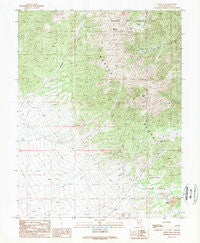 Corey Peak Nevada Historical topographic map, 1:24000 scale, 7.5 X 7.5 Minute, Year 1989