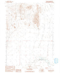Coyote Hills Nevada Historical topographic map, 1:24000 scale, 7.5 X 7.5 Minute, Year 1991