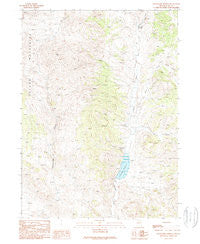 Crittenden Springs Nevada Historical topographic map, 1:24000 scale, 7.5 X 7.5 Minute, Year 1989