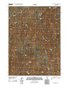Dairy Valley Nevada Historical topographic map, 1:24000 scale, 7.5 X 7.5 Minute, Year 2011