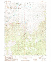 Dayton Nevada Historical topographic map, 1:24000 scale, 7.5 X 7.5 Minute, Year 1987