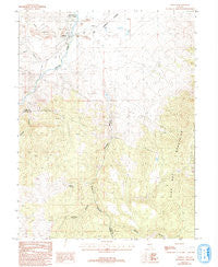 Dayton Nevada Historical topographic map, 1:24000 scale, 7.5 X 7.5 Minute, Year 1993