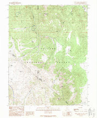 Desert Creek Peak Nevada Historical topographic map, 1:24000 scale, 7.5 X 7.5 Minute, Year 1988